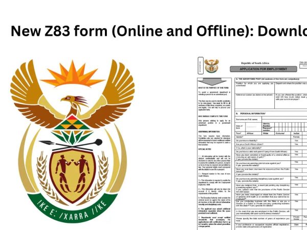 New z83 form 2024 South Africa: Offline and Online Download
